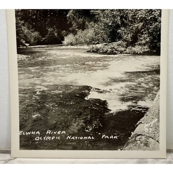 Elwha River RPPC Postcard Vintage Port Angeles WA Olympic National Park - Picture 5 of 6